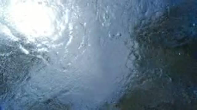 LOS CABOS MEXICO-2020: The Surface Of The Water Reflects Coconut Trees And The