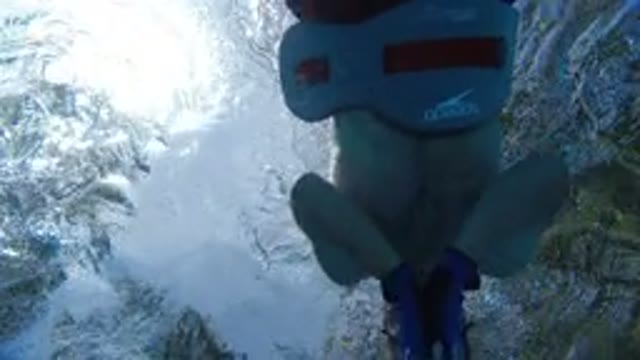 LOS CABOS MEXICO-2020: Father and Child Diving Together in Pool