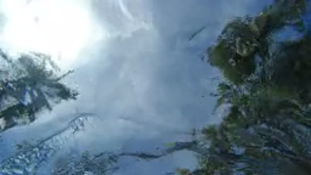 LOS CABOS MEXICO-2020: Underwater Video Of A Man In Red Swim Trunks Swimming