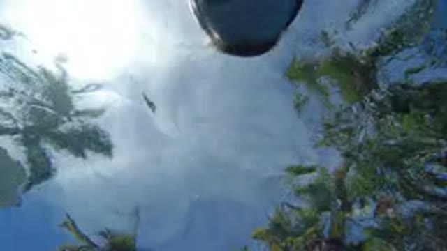 LOS CABOS MEXICO-2020: Swimming Pool Man House Blue Sky Enjoy