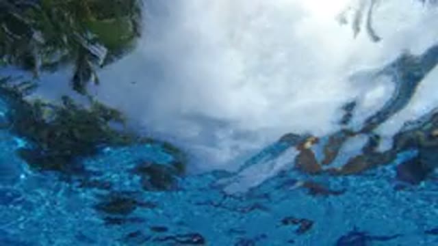 LOS CABOS MEXICO-2020: Mesmerizing Shot Of Surface Of Water Moving And Vibrating