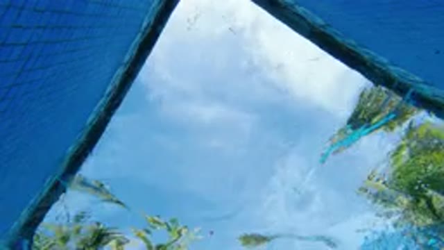 LOS CABOS MEXICO-2020: Beautiful Pool Recorded Underwater With A Man Swimming