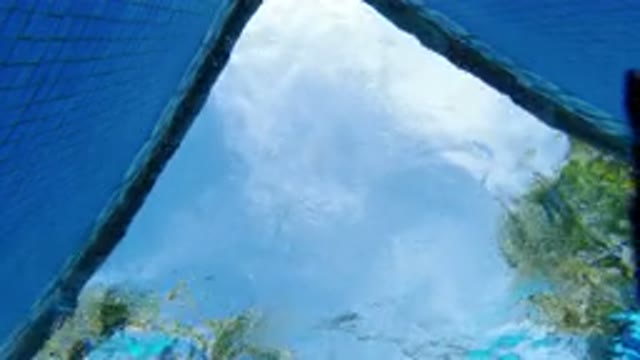 LOS CABOS MEXICO-2020: A Man Swimming In A Pool