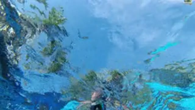 LOS CABOS MEXICO-2020: Enjoying A Nice Summer Day Swimming In The Pool All With
