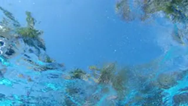 LOS CABOS MEXICO-2020: Beautiful Reflection Caught By An Underwater Camera