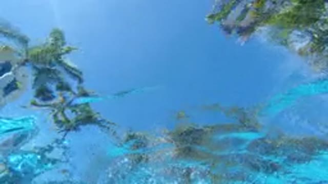 LOS CABOS MEXICO-2020: Underwater View Of The Sky And Trees In The Sides Of A Pool