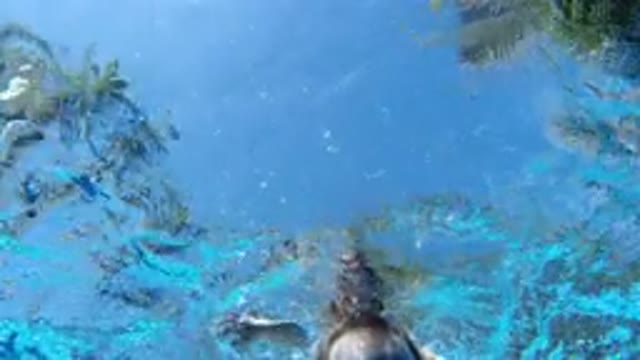 LOS CABOS MEXICO-2020: Man Swimming With One Kid Standing
