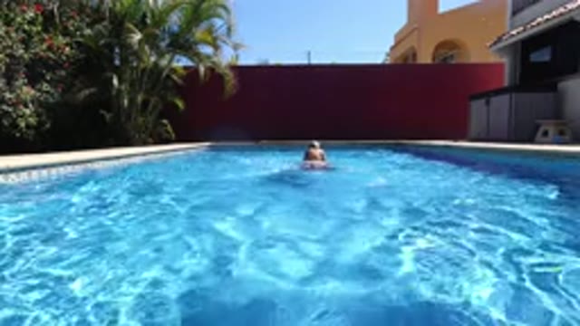 LOS CABOS MEXICO-2020: Girl Swimming In The Pool With Dog Who Decides To Come