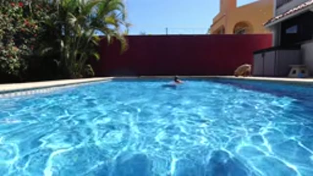 LOS CABOS MEXICO-2020: Man Swimming And Enjoying His Day With His Pet Dog