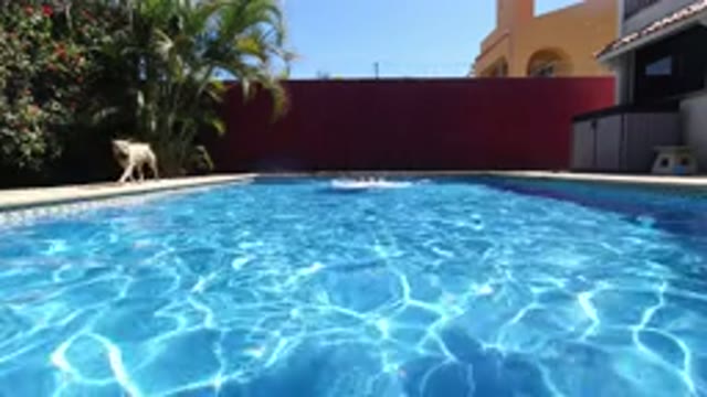 LOS CABOS MEXICO-2020: Doing The Breaststroke And Swimming In A Private Pool