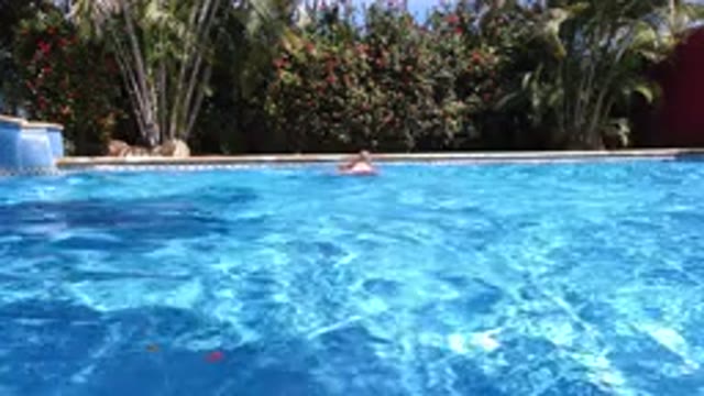 LOS CABOS MEXICO-2020: Two People Swimming Far Behind A Blue Color Swimming