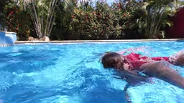LOS CABOS MEXICO-2020: Family Swimming Through Their House Pool While The Dog