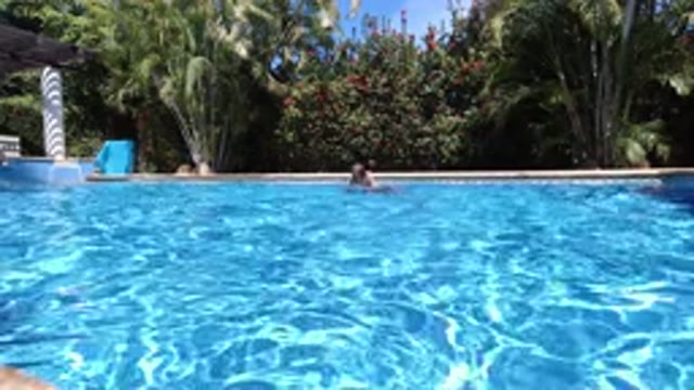 LOS CABOS MEXICO-2020: Man Swimming in Blue Pool Surrounded by Green Trees
