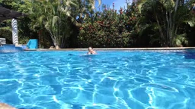 LOS CABOS MEXICO-2020: Man Swimming In A Pool While Dog Walks In Background