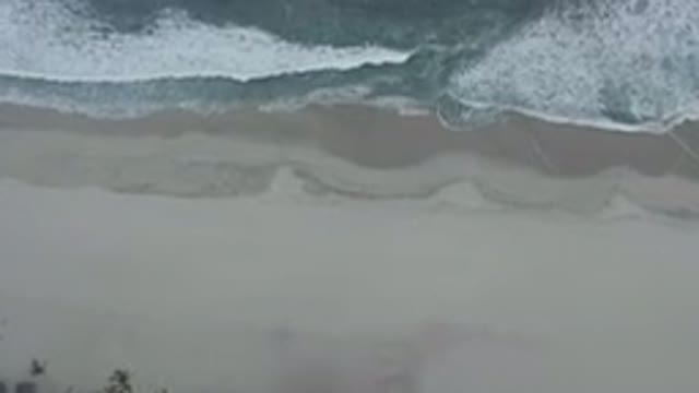 LOS CABOS MEXICO-2020: Beautiful Sandy Beach With Coconut Trees And Calm Waves