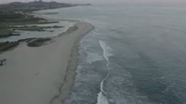 LOS CABOS MEXICO-2020: The Beach Is Active With Many Waves And Sea Creatures Of
