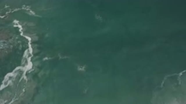 SAN JOSE DEL CABO MEXICO-2020: Drone Footage Of Sea Foam Swims Through Waves Of