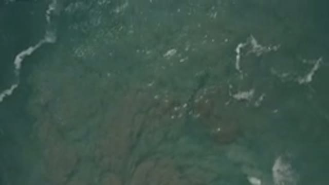 SAN JOSE DEL CABO MEXICO-2020: An Emerald Green And Amazing Seabed