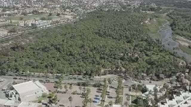 SAN JOSE DEL CABO MEXICO-2020: Birds Eye View Of Forest