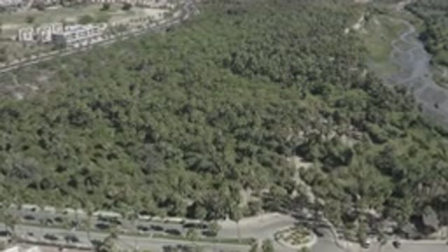SAN JOSE DEL CABO MEXICO-2020: Aerial View With Trees, Buildings, and Roads
