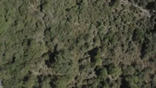 SAN JOSE DEL CABO MEXICO-2020: A Birds Eye View Of A Large Wooded Area Where You