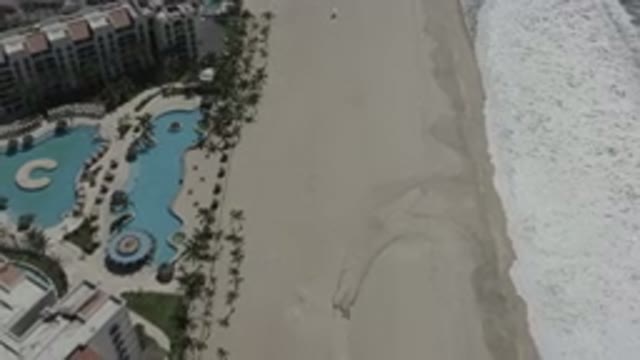 SAN JOSE DEL CABO MEXICO-2020: Beautiful Beach Resort With Lots Of Trees