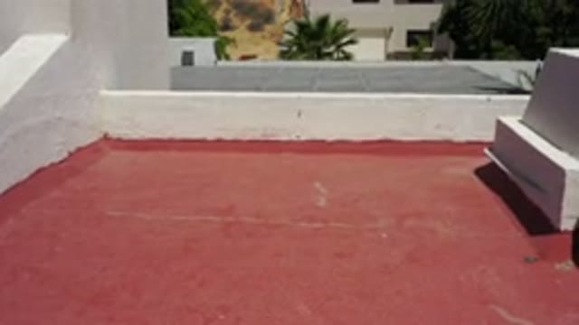 SAN JOSE DEL CABO MEXICO-2020: Flying Into The Air To Look Across The Street