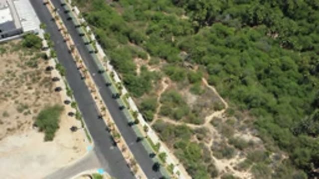 SAN JOSE DEL CABO MEXICO-2020: Two Long Empty Roads Have Trees All Around And