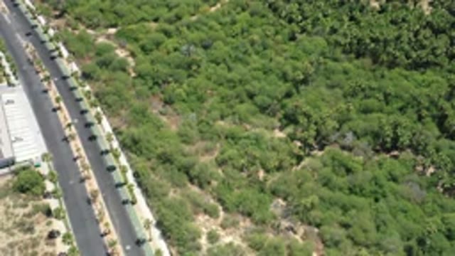 SAN JOSE DEL CABO MEXICO-2020: Drone Hovering Above Roads And Greenery