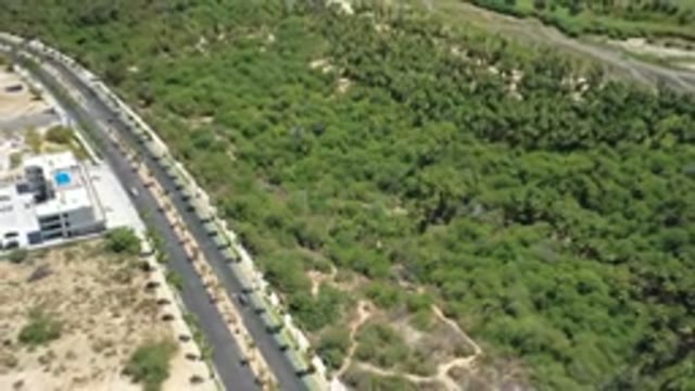 SAN JOSE DEL CABO MEXICO-2020: Large Aerial Footage Of A Giant Forest Like