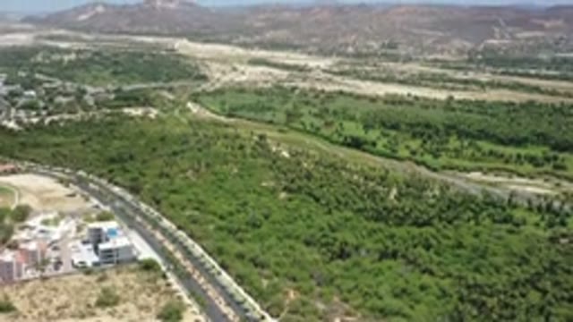 SAN JOSE DEL CABO MEXICO-2020: A Vast View Of Trees And Other Green Vegetation
