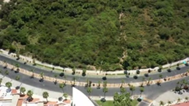 SAN JOSE DEL CABO MEXICO-2020: A Bird's-Eye View Of A Large Forest And Some Buildings