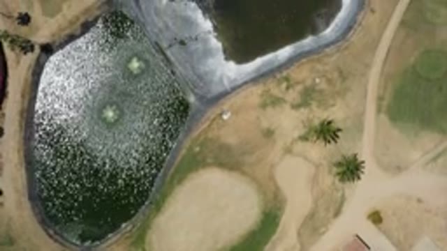 SAN JOSE DEL CABO MEXICO-2020: Filmed Small Lake And Pathways From This