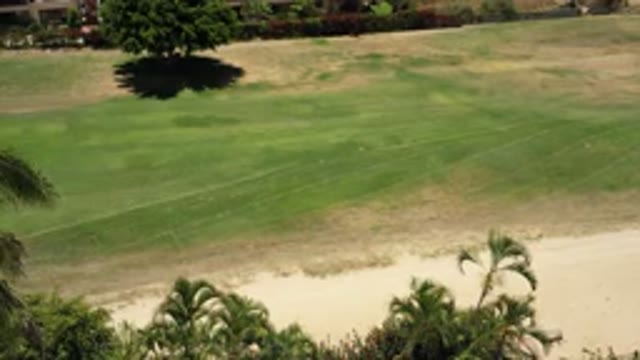 SAN JOSE DEL CABO MEXICO-2020: Grass Sand Tree Grounds Sun Course