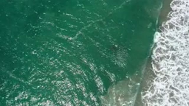 SAN JOSE DEL CABO MEXICO-2020: The Water in the Current Is Strong Crystal Clear