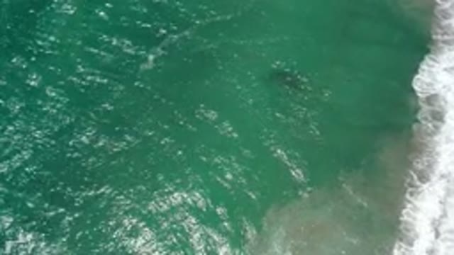 SAN JOSE DEL CABO MEXICO-2020: The Ocean Is A Beautiful Teal And Aqua Color That