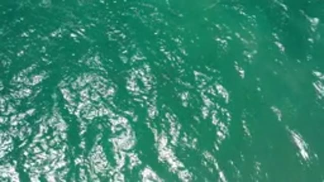 SAN JOSE DEL CABO MEXICO-2020: Calm Green Waves During The Day