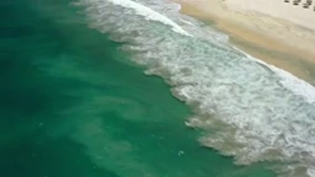SAN JOSE DEL CABO MEXICO-2020: Living By The Seashore Means Amazing Lifestyle