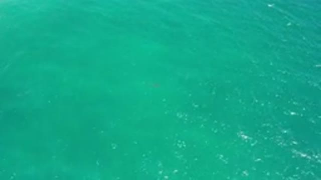 SAN JOSE DEL CABO MEXICO-2020: Strong Waves Crashing Along the Coast