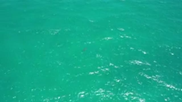 SAN JOSE DEL CABO MEXICO-2020: Light Scattering Across A Blue-Green Sea With Fish