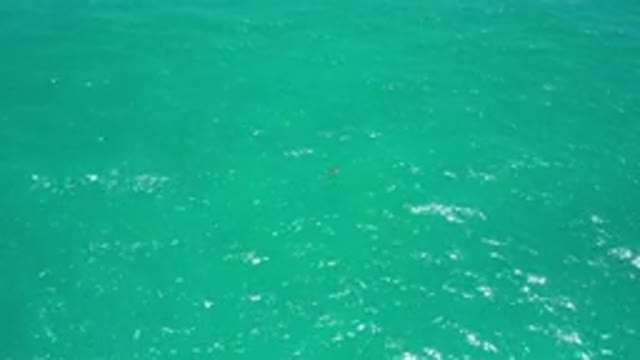 SAN JOSE DEL CABO MEXICO-2020: Natural Pure And Crystal Clear Emerald Green
