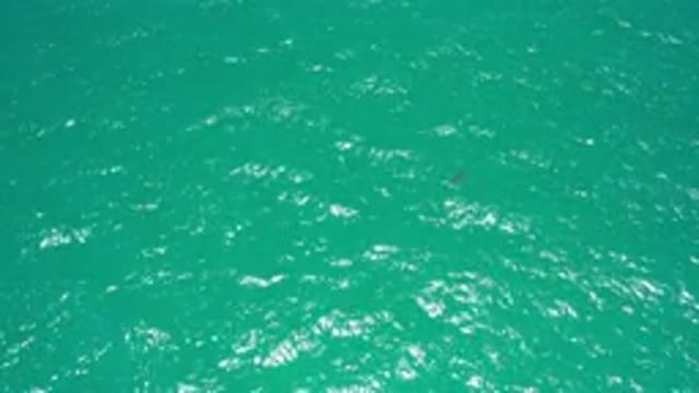 SAN JOSE DEL CABO MEXICO-2020: A Fine Beautiful Sea By Day