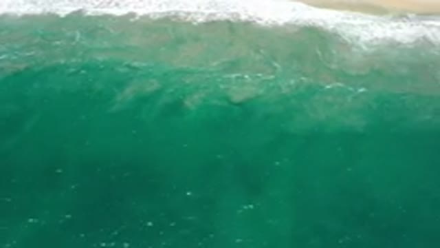 SAN JOSE DEL CABO MEXICO-2020: Sunny Day At The Beach Waves Crashing Making