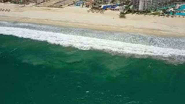 SAN JOSE DEL CABO MEXICO-2020: A Wide Green Deep And Long Beach Alongside A Big