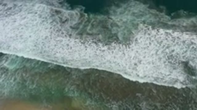 SAN JOSE DEL CABO MEXICO-2020: A Beautiful Body of Water Travels Along the Canal