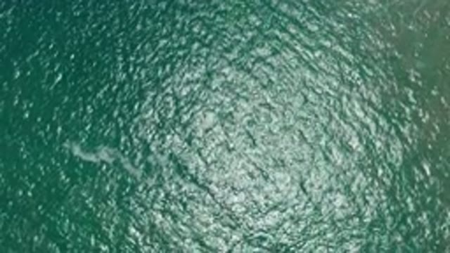 SAN JOSE DEL CABO MEXICO-2020: A Beautiful Body of Water Travels Along the Canal