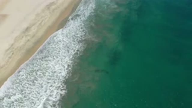 SAN JOSE DEL CABO MEXICO-2020: Green Color Water Moving Around