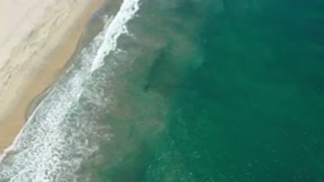SAN JOSE DEL CABO MEXICO-2020: Dark Navy Blue Sea Calm Waves Crashing At The Shore