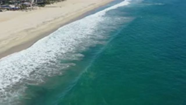 SAN JOSE DEL CABO MEXICO-2020: Ocean Waves Fish Water Holiday Beach Sand