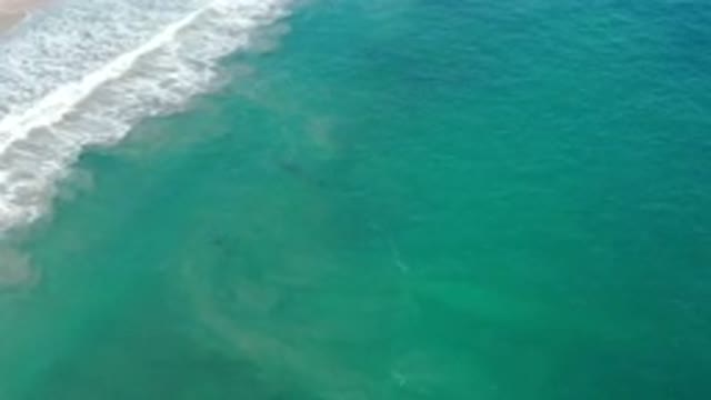 SAN JOSE DEL CABO MEXICO-2020: The Ocean Is Very Big And Full Of Blue Water That
